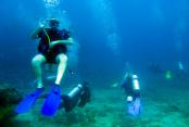 images/Photos-Activites/nosybe-plongee-sous-marine.jpg